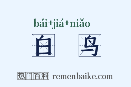 白鵊鸟是什么意思的图片